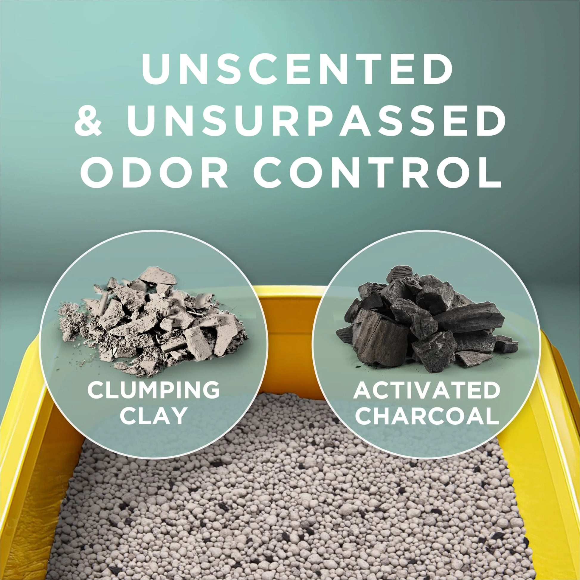 Purina  Free and Clean Unscented Cat Litter