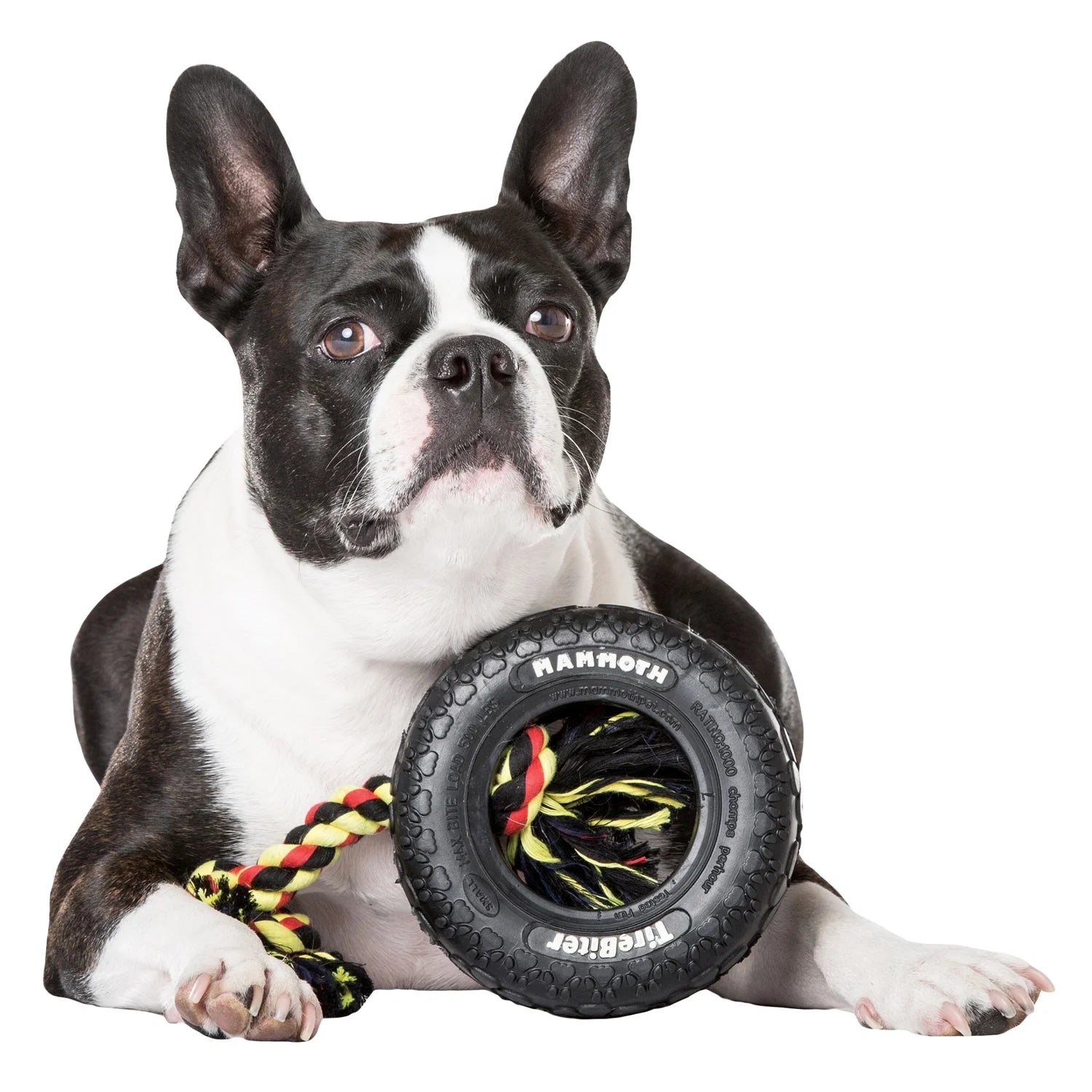 Tirebiter Small 6" Rubber Tire Dog Toy with Rope, Assorted Colors