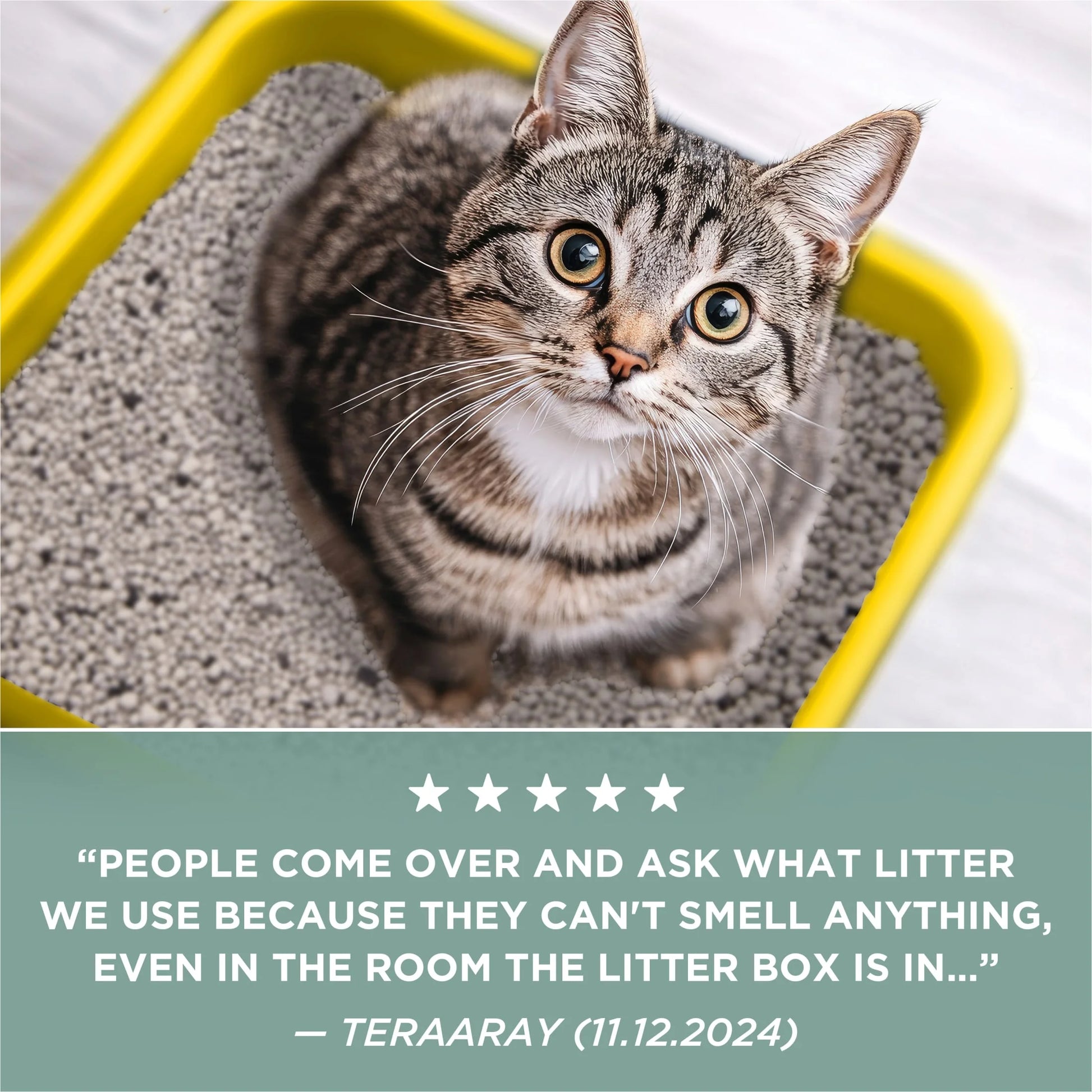 Purina  Free and Clean Unscented Cat Litter